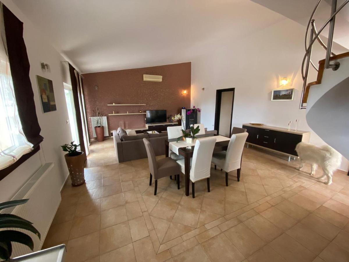 Casa Duje Villa ซาดาร์ ภายนอก รูปภาพ